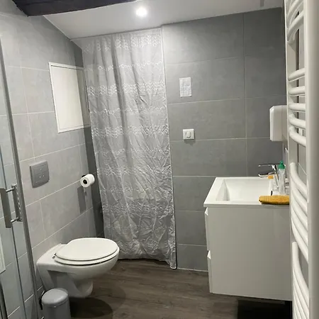 Chez Jean-yves Et Zoe - Le Saint Andre - Au Calme, Tres Propre, Proche Parkings, Clim Apartmán Niort